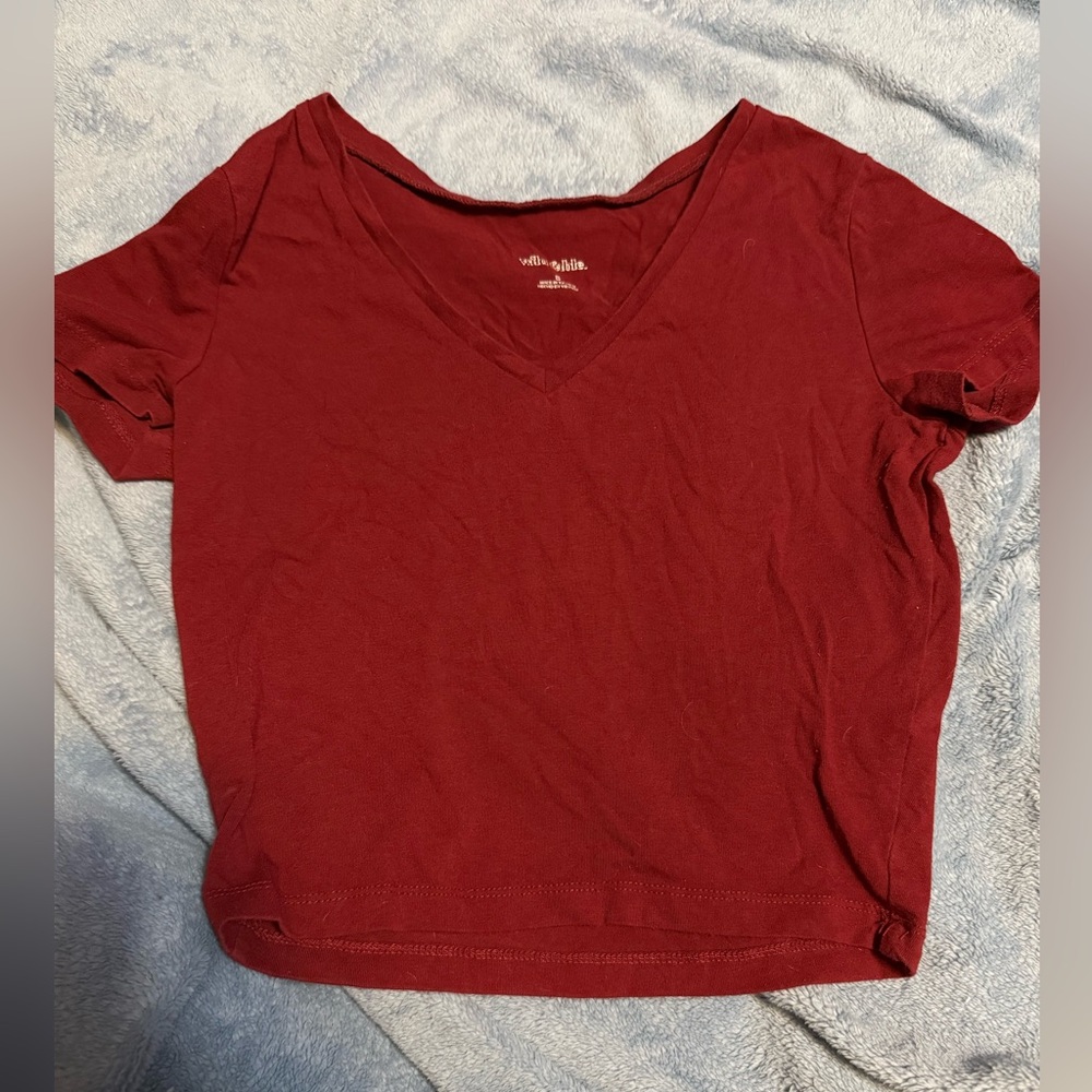 Wild Fable Burgundy V-Neck Tee cropped